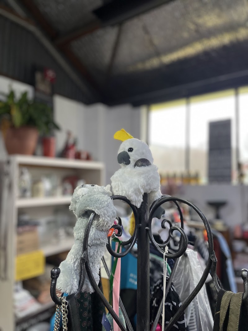 Check out Déjà New – Preloved Goods Little River in Little River