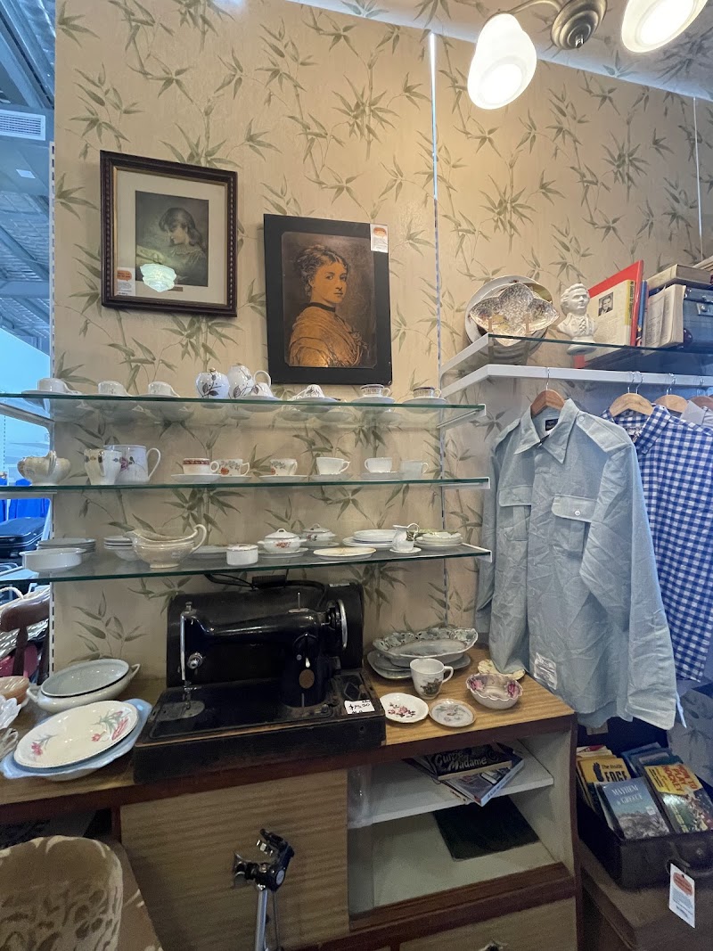 Check out Lifeline Shop North Lakes in North Lakes