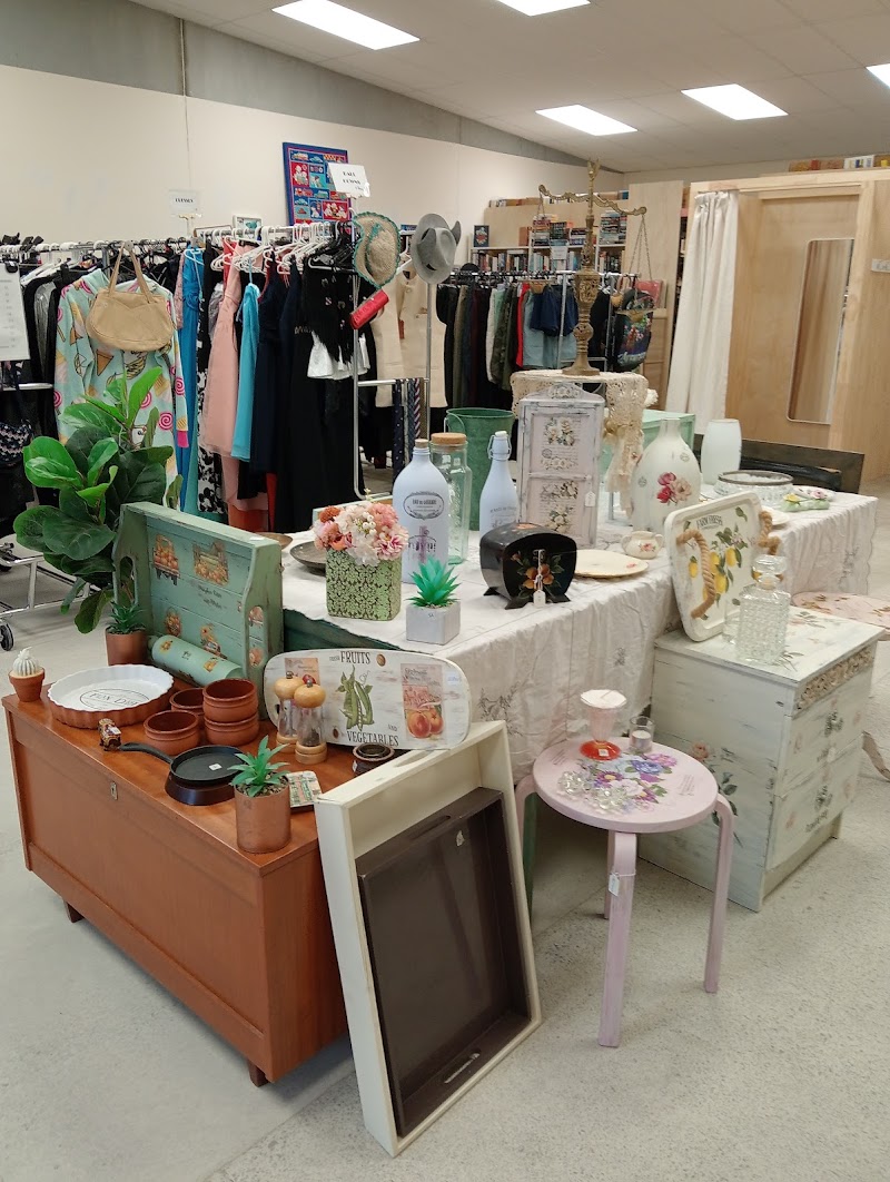 Check out Thrifted Treasures in Whangaparaoa