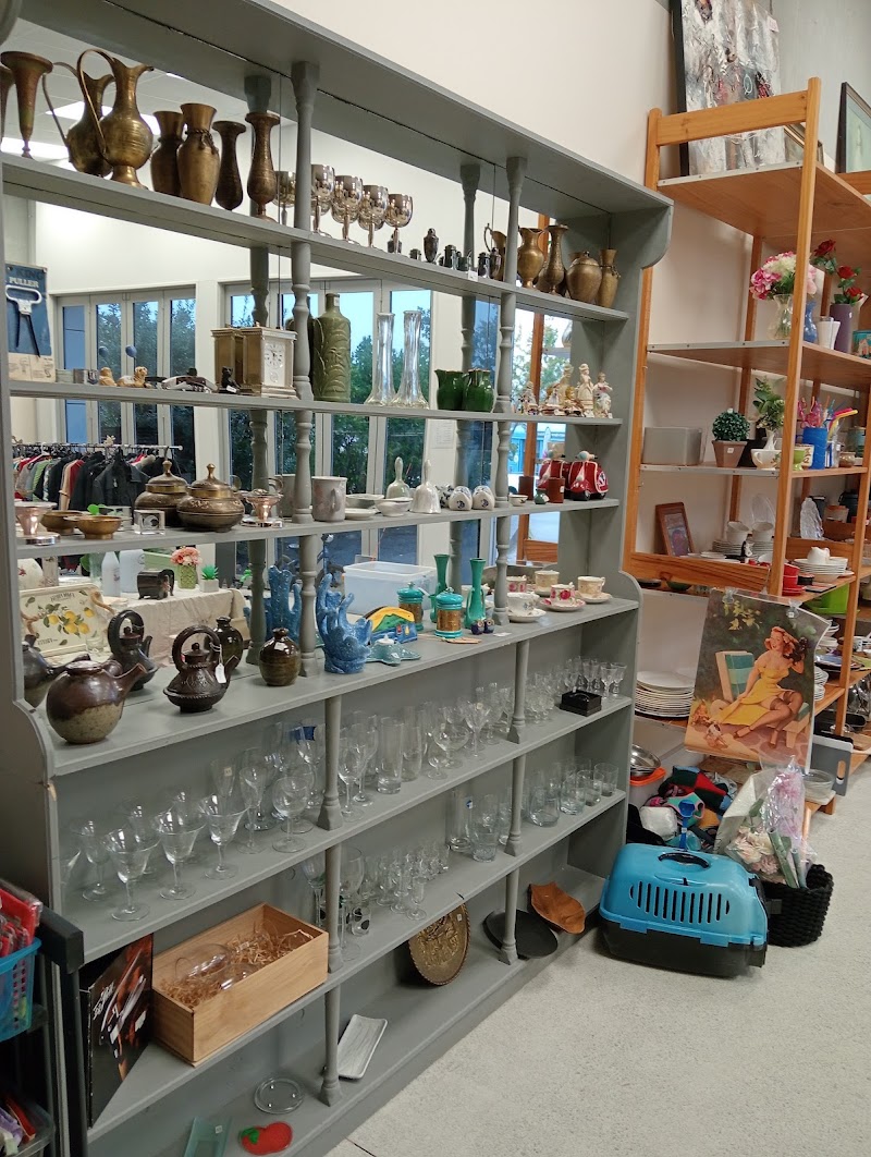 Check out Thrifted Treasures in Whangaparaoa