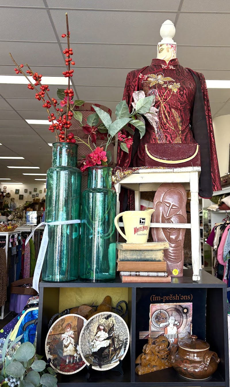 Check out Vinnies Gungahlin in GUNGAHLIN