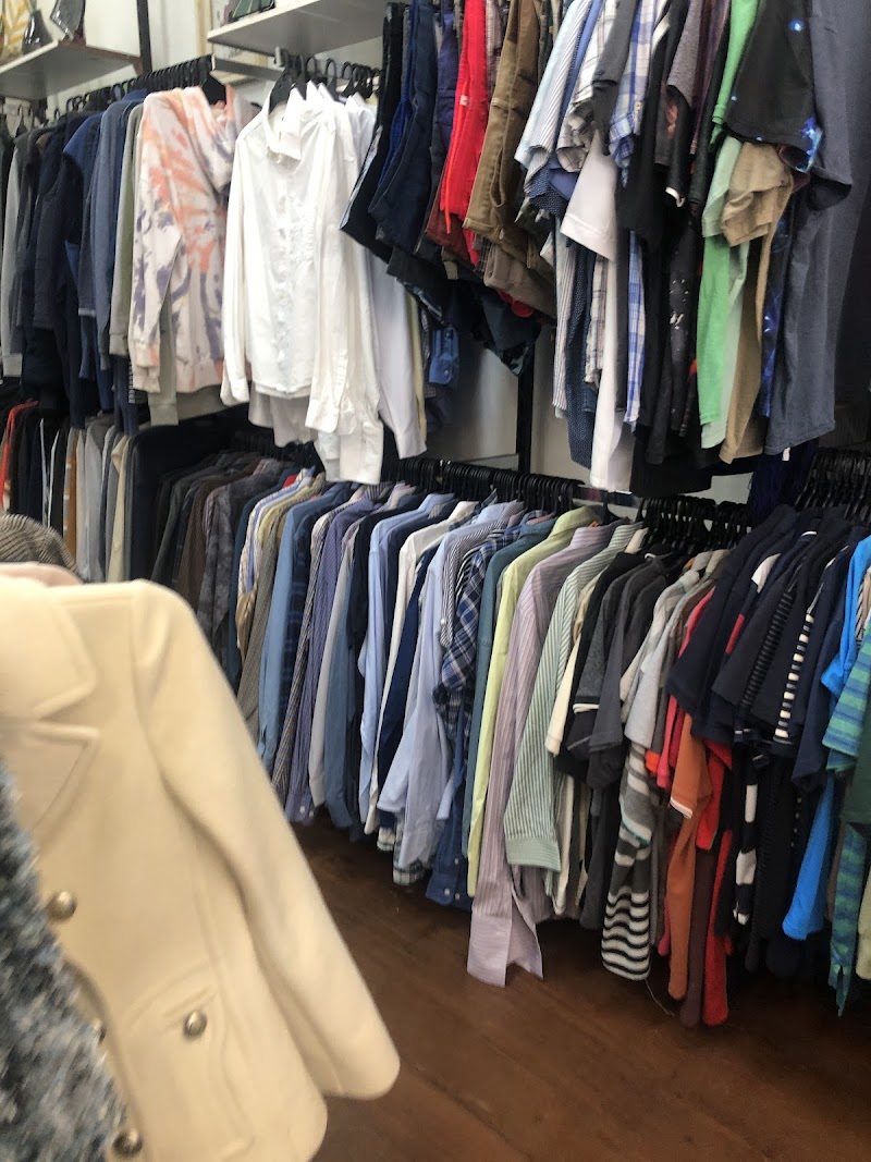 Check out Vinnies Maylands Shop in Maylands