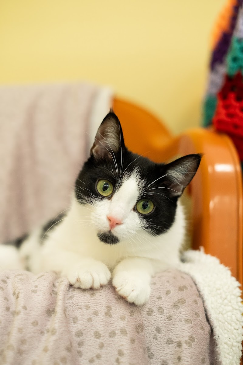 Check out Australian Animal Protection Society OP Shop - Dandenong South in Dandenong South