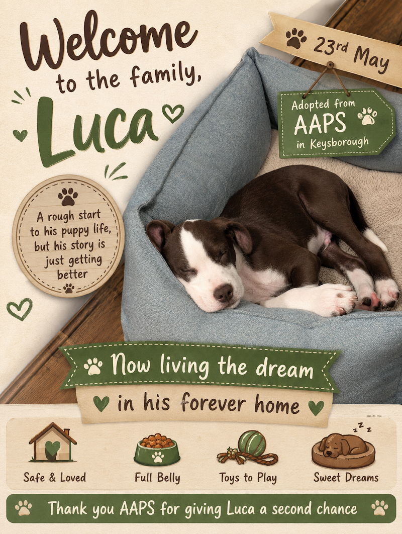 Check out Australian Animal Protection Society OP Shop - Dandenong South in Dandenong South