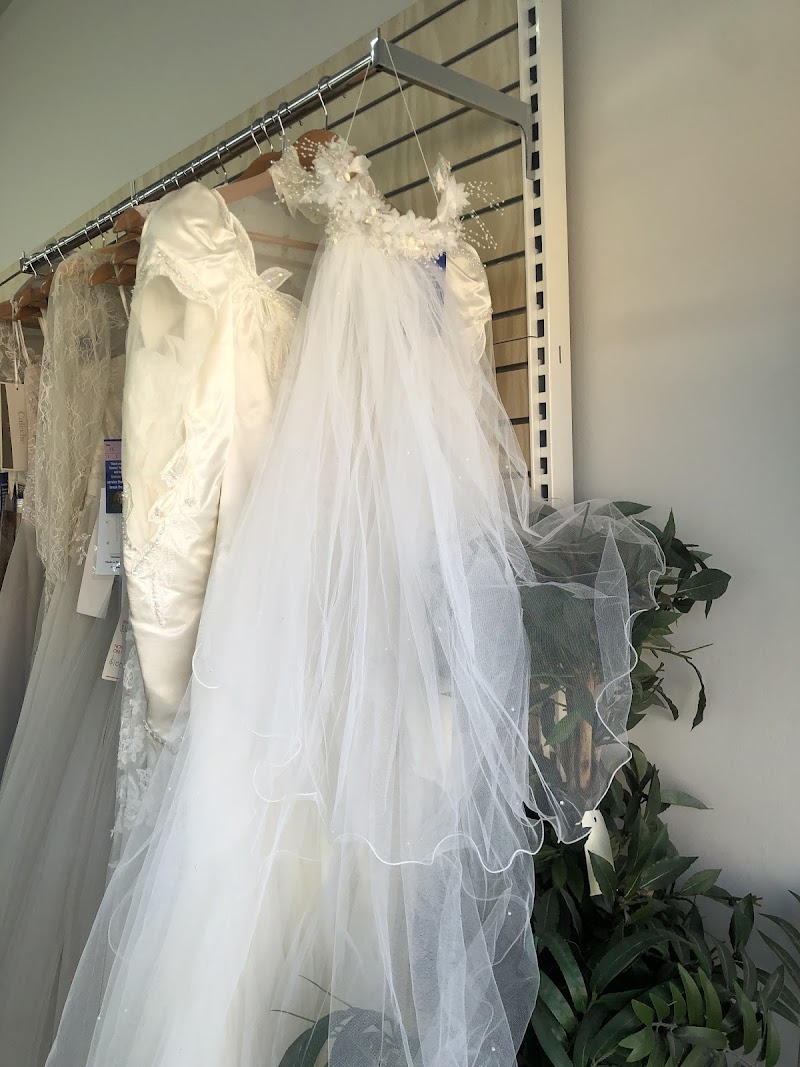 Check out Vinnies Brighton in BRIGHTON