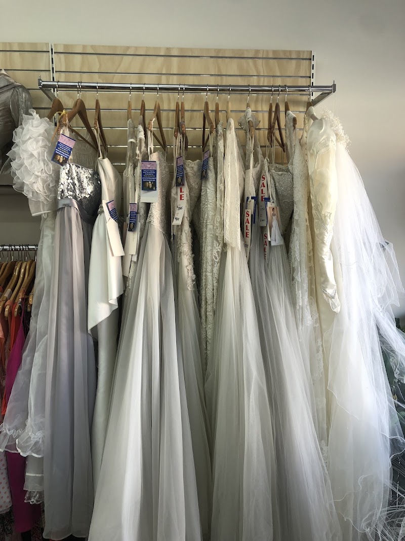 Check out Vinnies Brighton in BRIGHTON