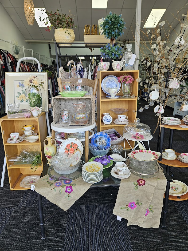 Check out SPCA Op Shop Takapuna in Takapuna