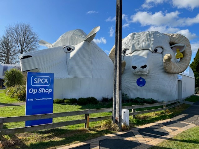 Check out SPCA Op Shop Tirau in Tīrau