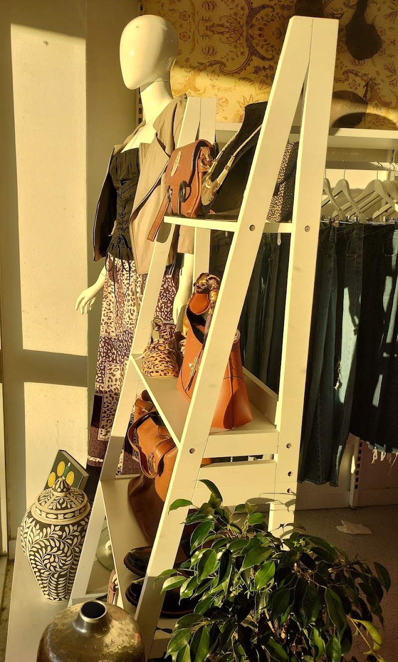 Check out Salvos Stores Morningside in MORNINGSIDE