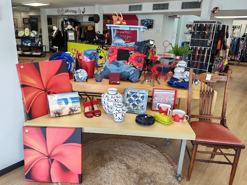 Check out Harbour Hospice Shop – Browns Bay in Browns Bay