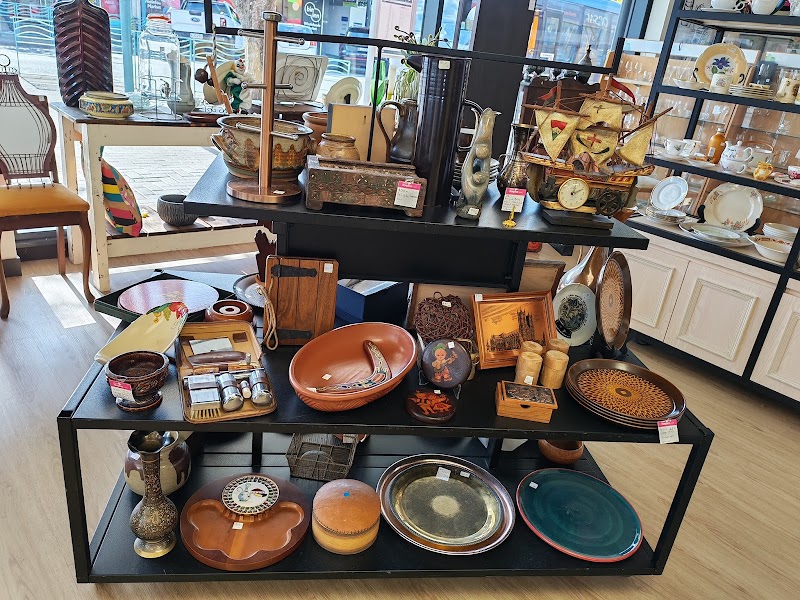 Check out Harbour Hospice Shop – Browns Bay in Browns Bay