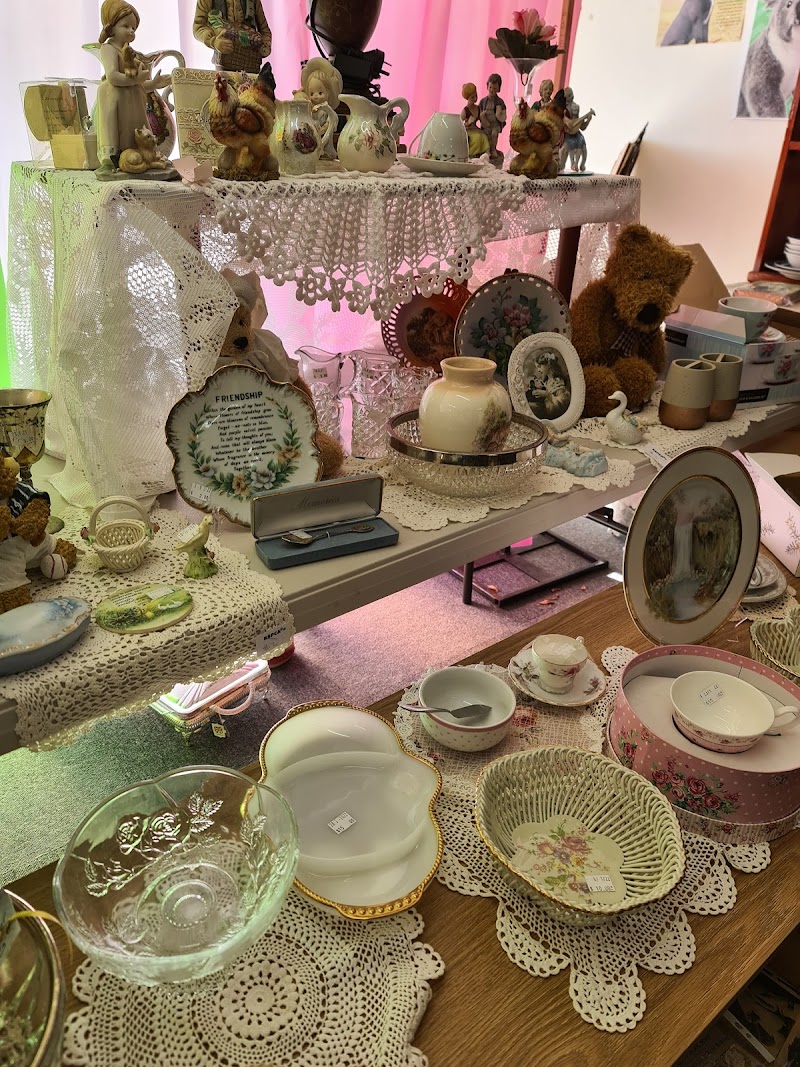 Check out RSPCA Victoria Op Shop Traralgon in Traralgon