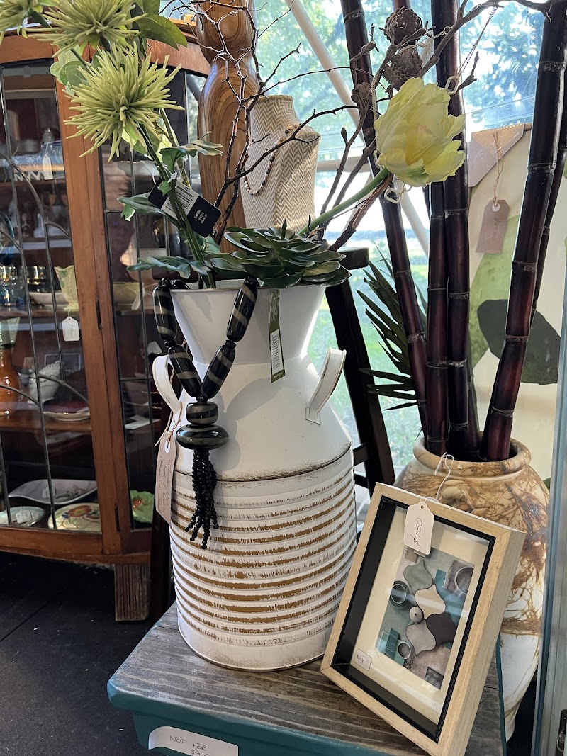 Check out CuratorNZ in Cambridge