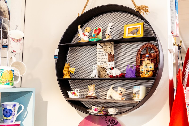 Check out RSPCA SA Marden Op Shop in Marden