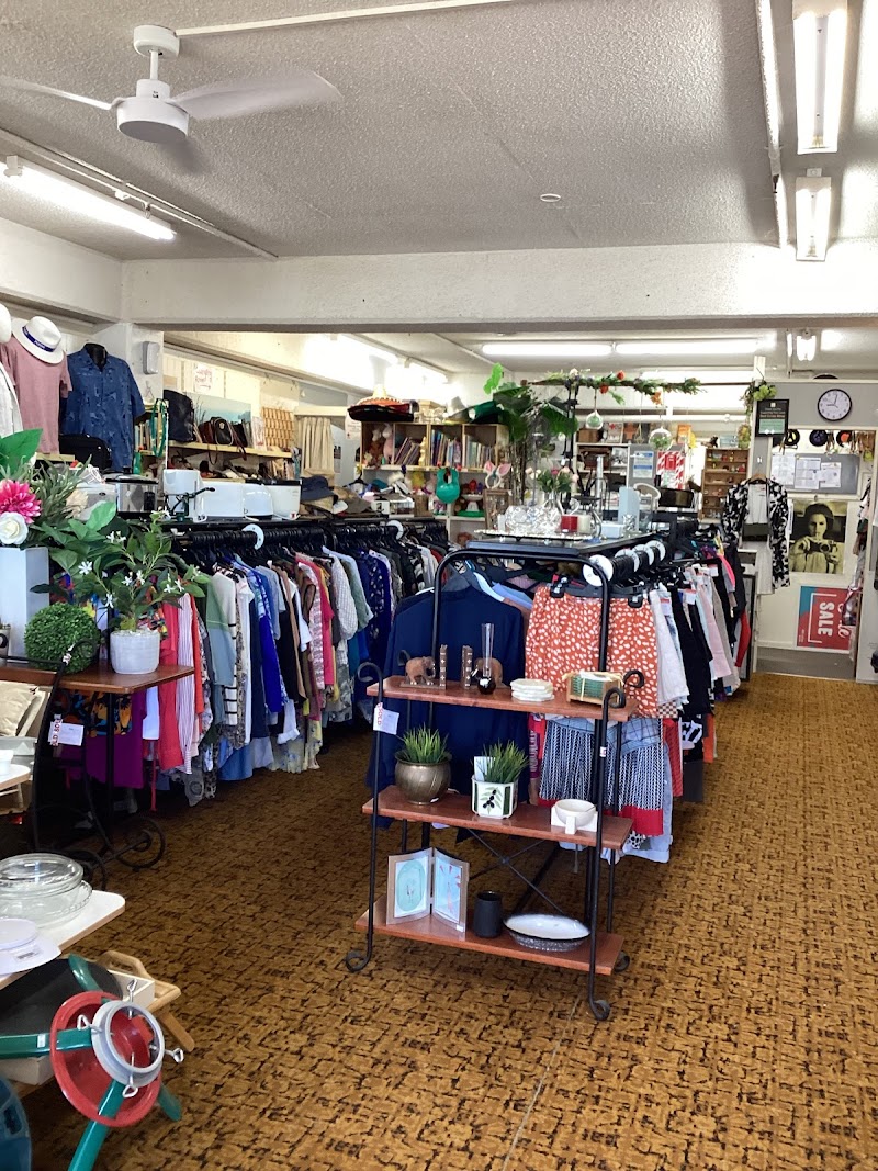 Check out Red Cross Shop Orewa in Orewa