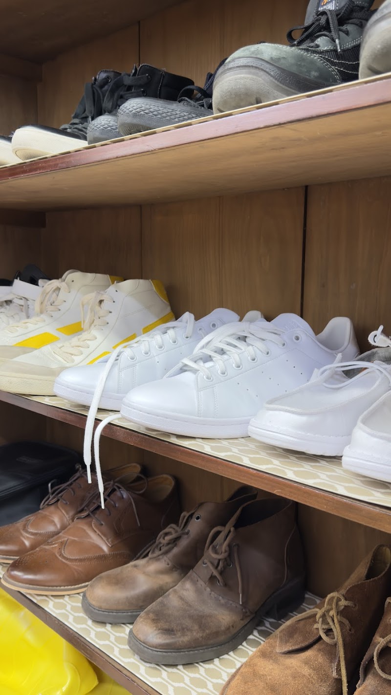 Check out Lifeline Shop Bondi in Bondi