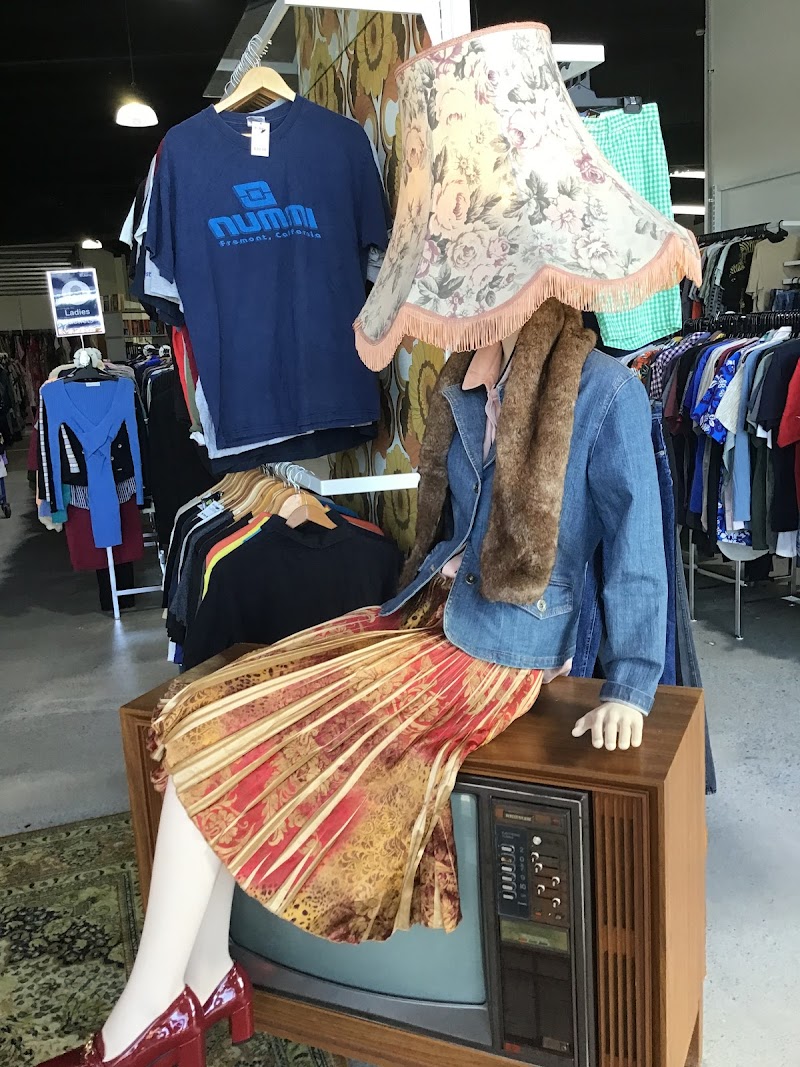 Check out Lifeline Shop Robina in Robina