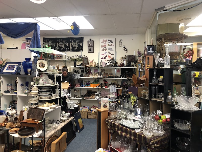 Check out Salvation Army Family Store in Kaiwharawhara