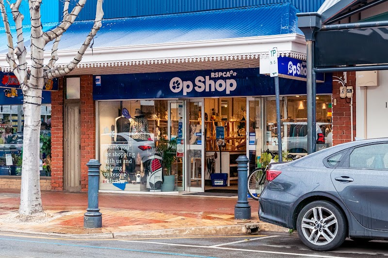 Check out RSPCA SA Glenelg Op Shop in Glenelg