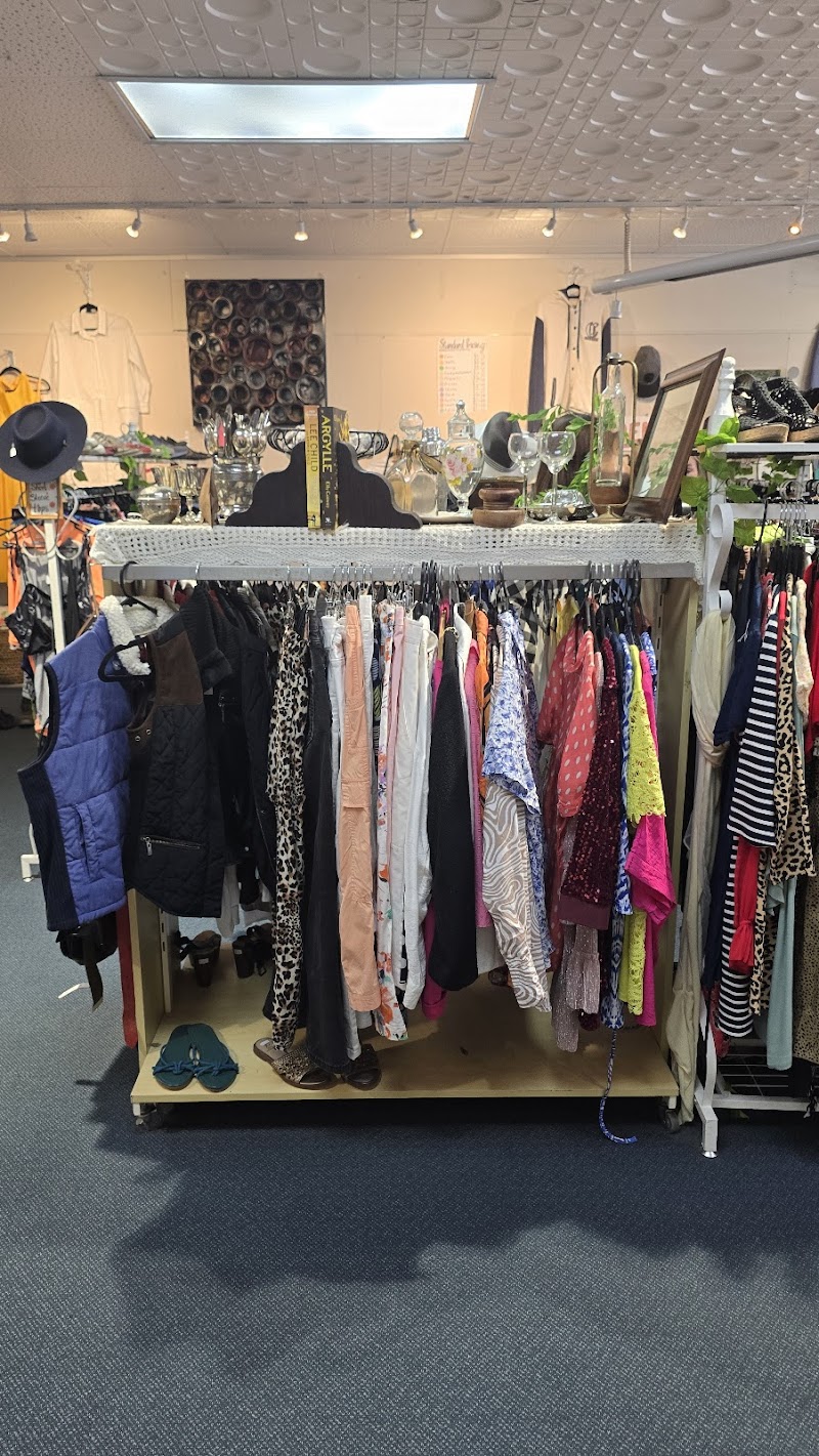 Check out HUHA Op Shop Carterton in Carterton