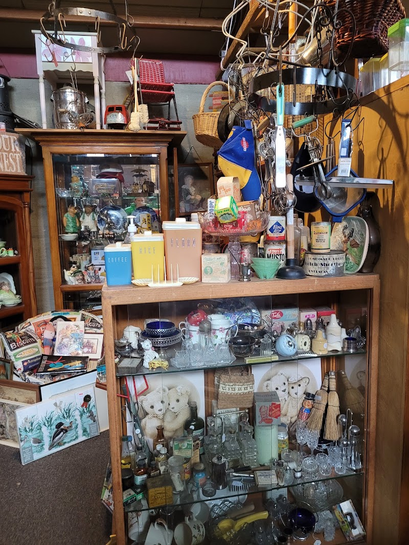 Check out Shingle Creek Collectables in Shingle Creek