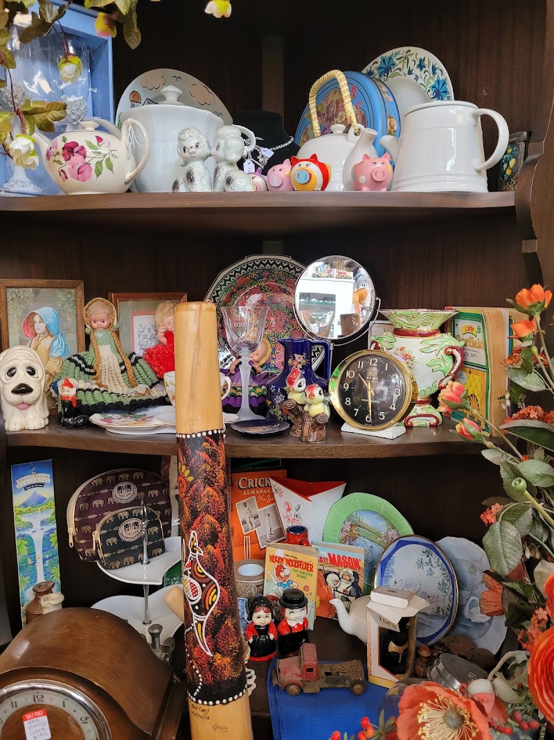Check out Shingle Creek Collectables in Shingle Creek