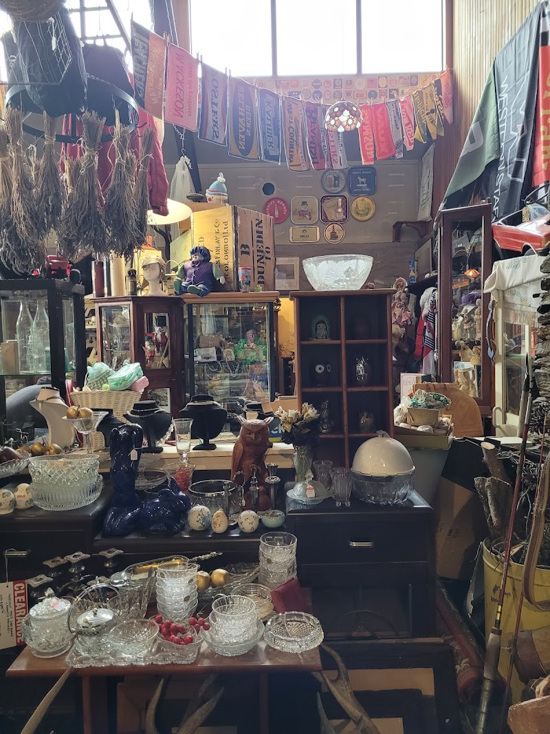 Check out Shingle Creek Collectables in Shingle Creek