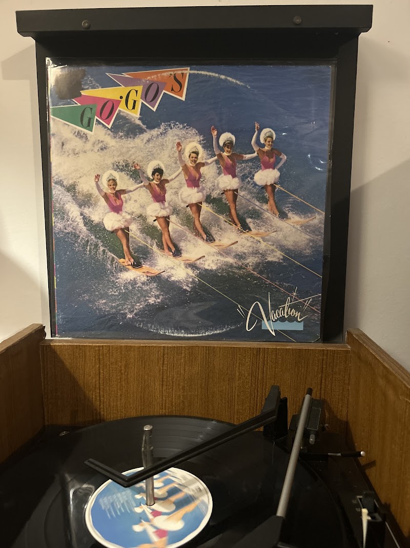 Check out Dutch Vinyl in Abbotsford
