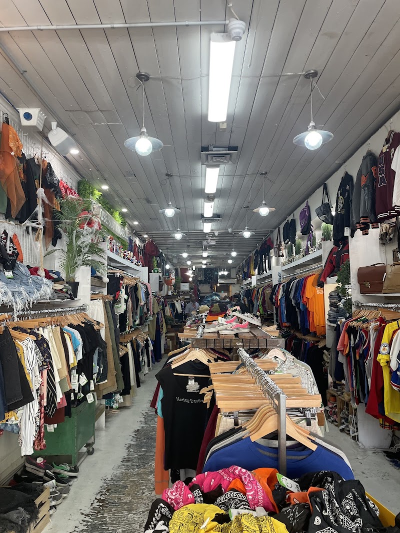 Check out Newtown Vintage 313 in Newtown
