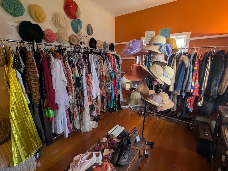 Check out Dragonfly in Kerikeri