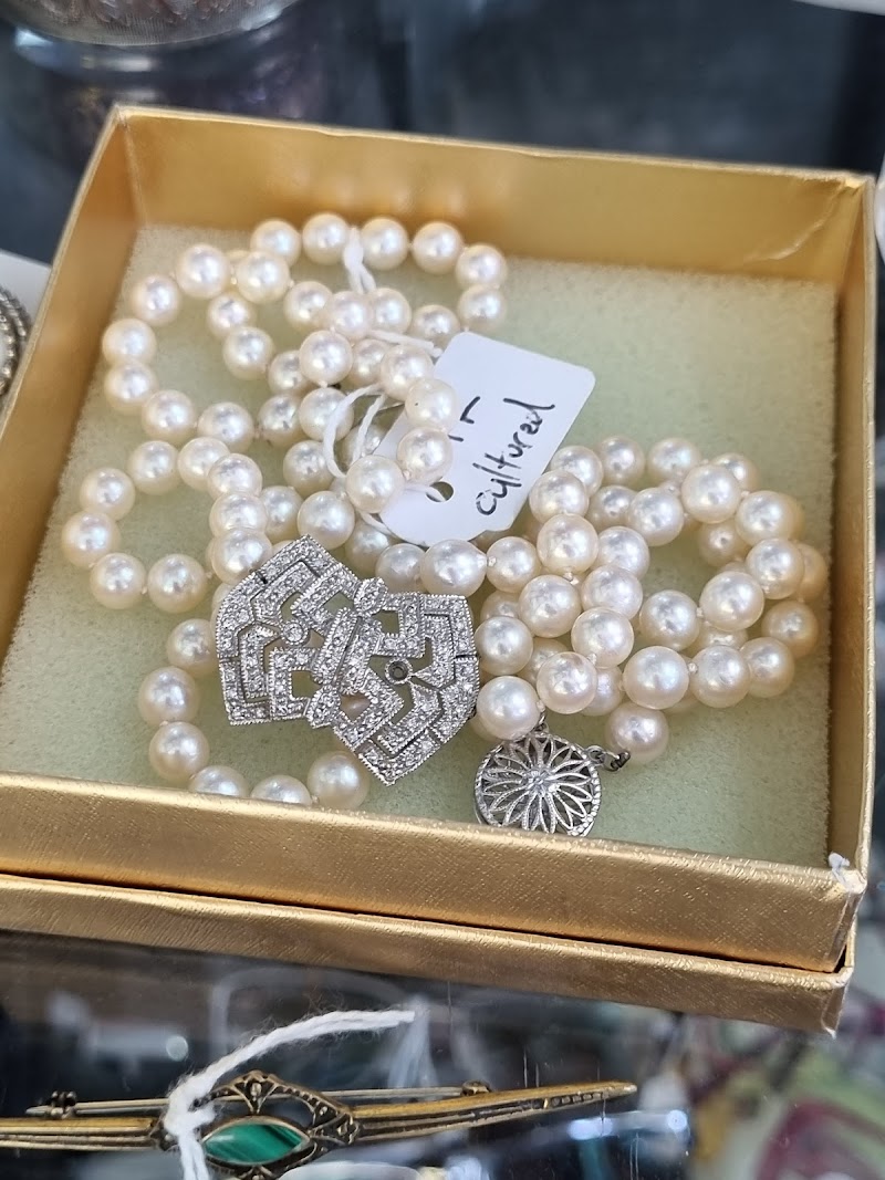 Check out Posh Opp Shoppe in Elsternwick
