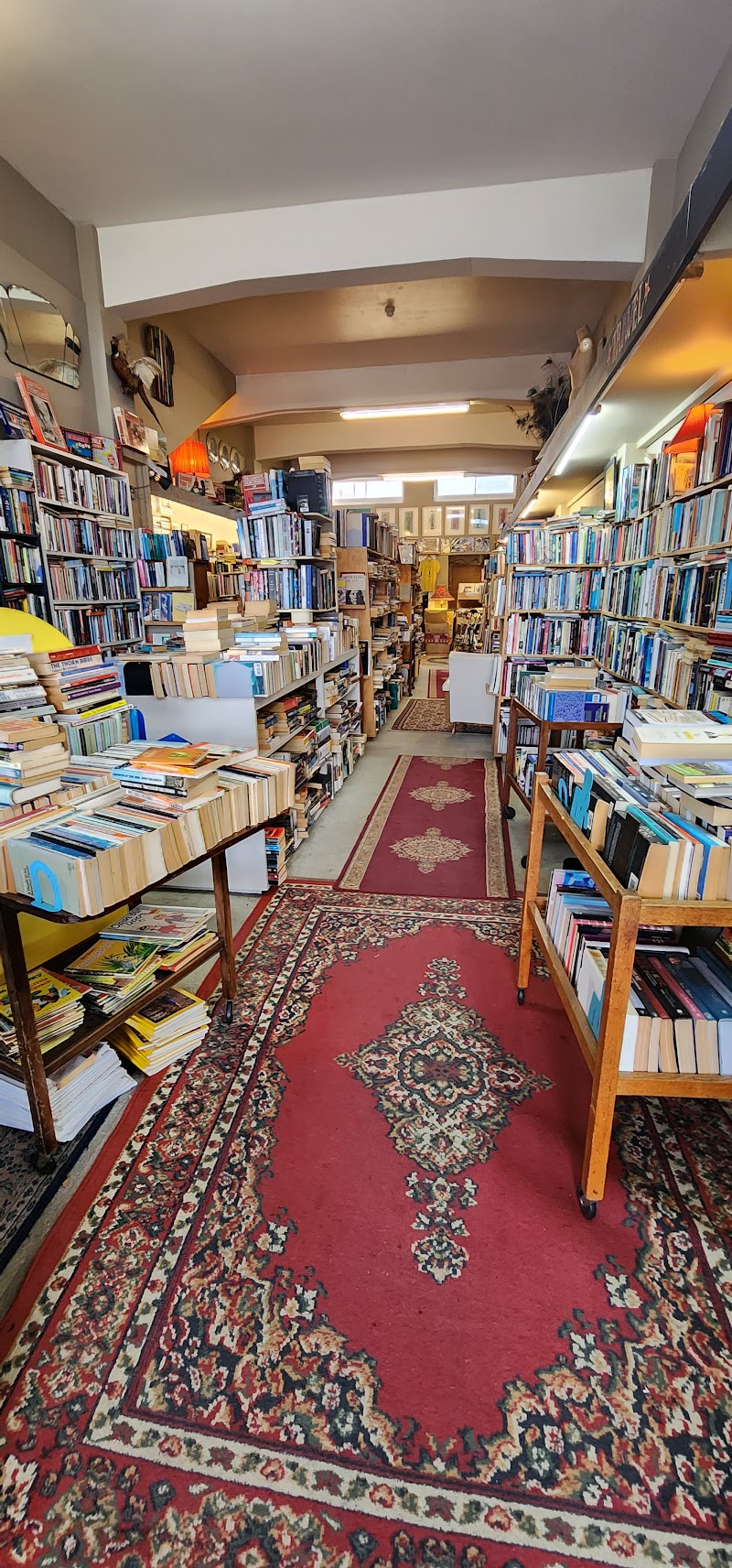 Check out The Little Red Bookshop in Hastings