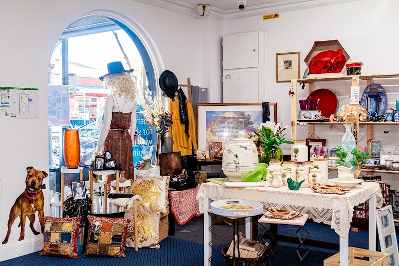 Check out RSPCA SA Norwood Op Shop in Norwood