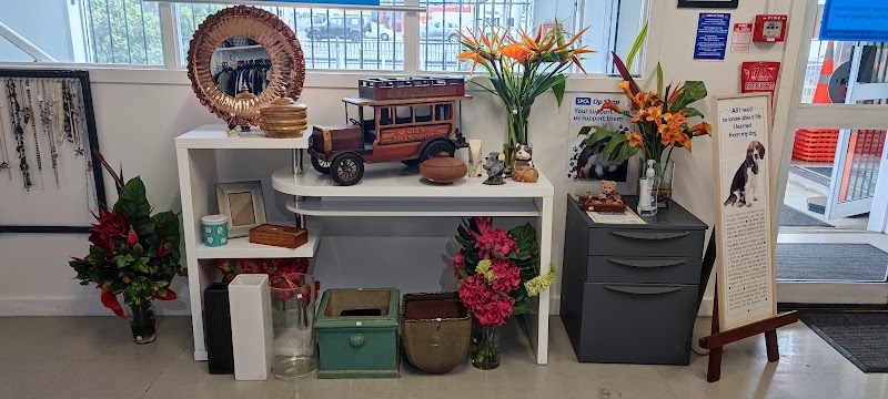 Check out SPCA Op Shop Wairau Valley in Wairau Valley