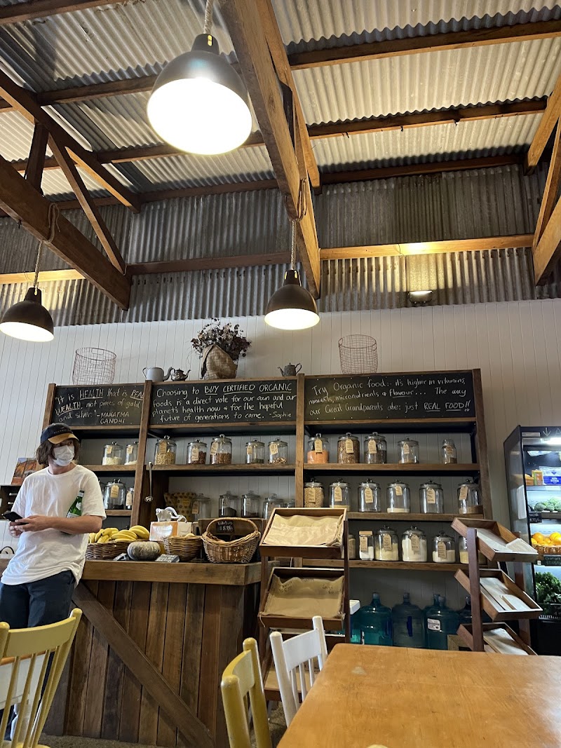 Check out Lifeline Shop Grafton in Grafton