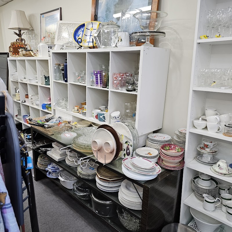 Check out New Leaf Op Shop in Parramatta
