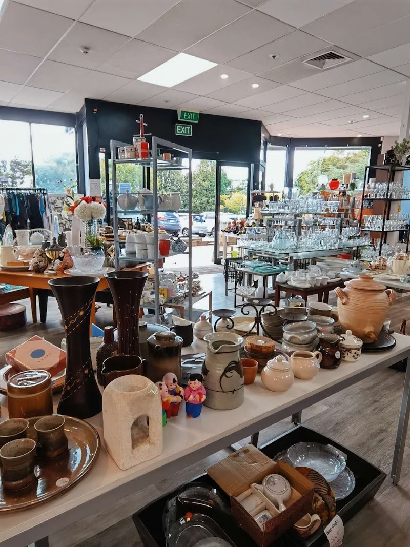 Check out Dove Hospice Shop Meadowbank in Panmure