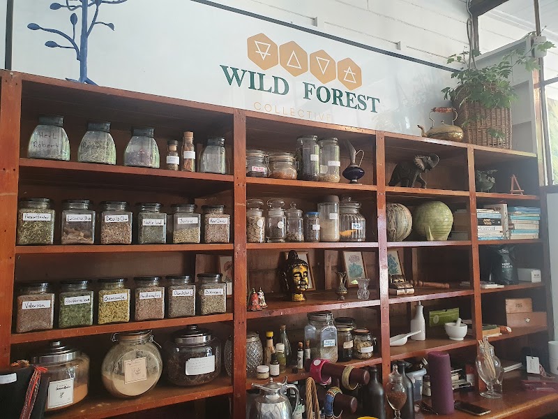 Check out Wild Forest Collective in Ohakune