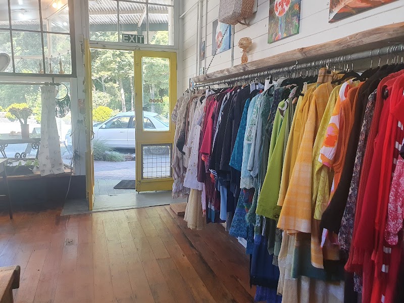 Check out Wild Forest Collective in Ohakune