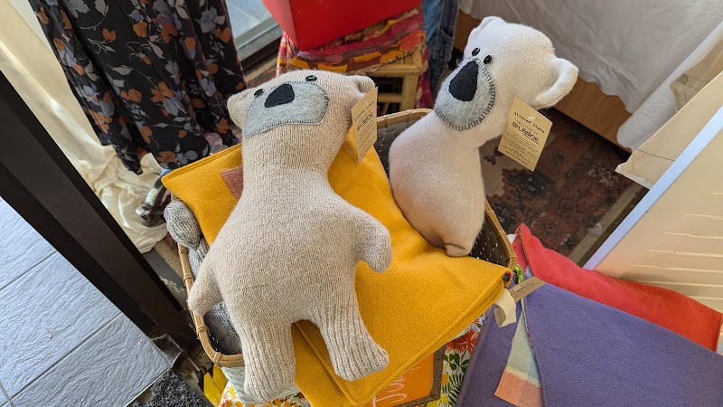 Check out Lifeline Shop Manly in Manly