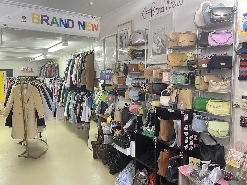 Check out The liquidation Studio in Mairehau