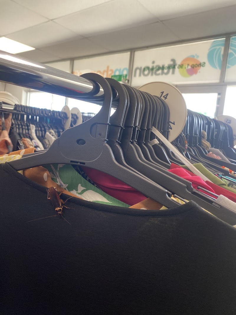 Check out Fusion Opshop Maroochydore in Maroochydore