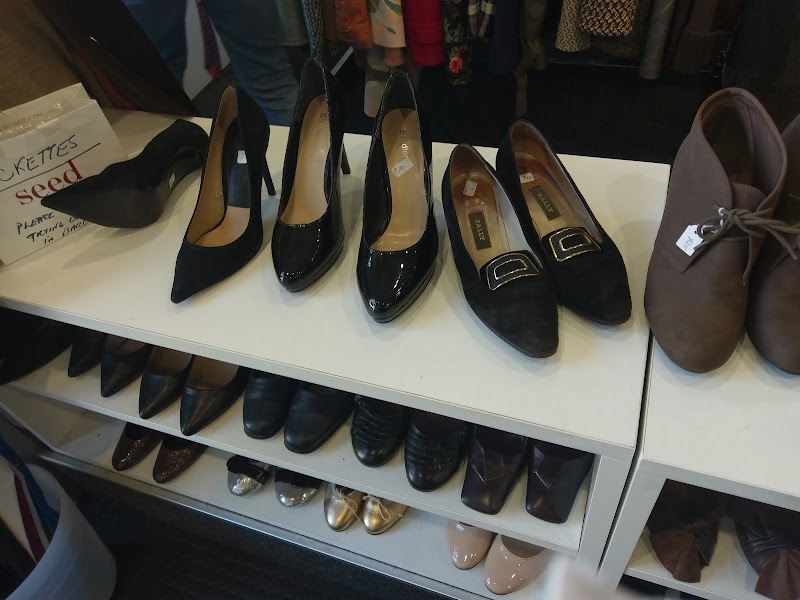Check out Toorak Opportunity Shop - Toorak in Toorak