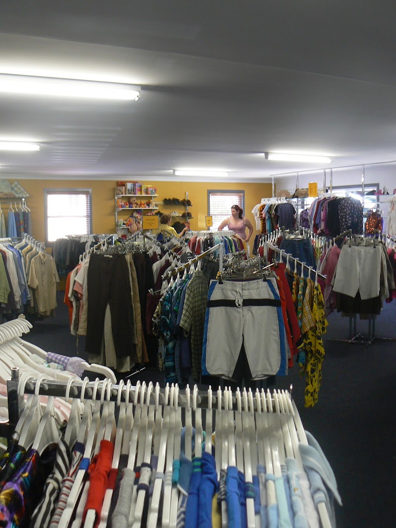 Check out Vinnies Chinchilla in Chinchilla