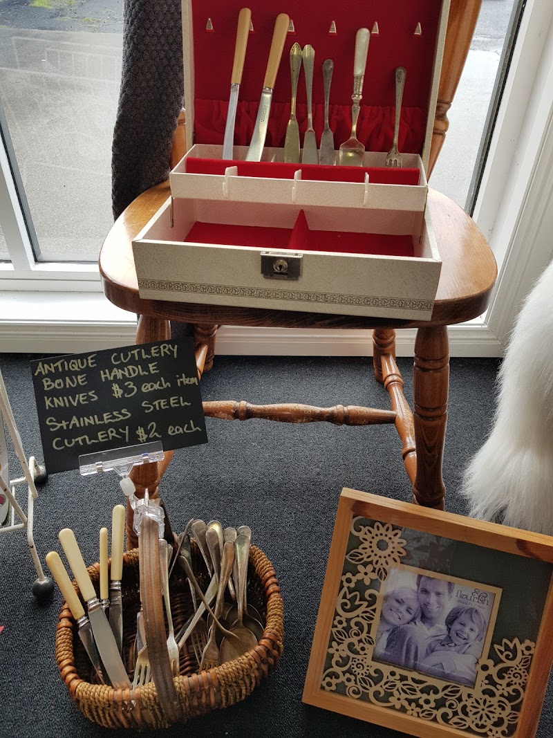 Check out Lifeline Shop Shearwater in Shearwater