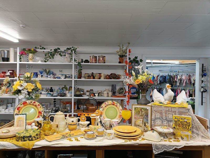 Check out SPCA Op Shop Nelson in Nelson South