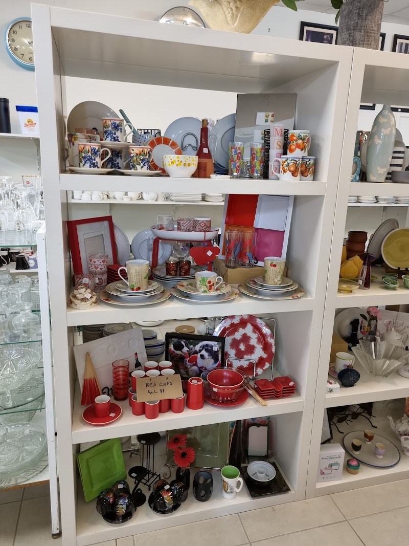 Check out Vinnies Airlie Beach in Cannonvale