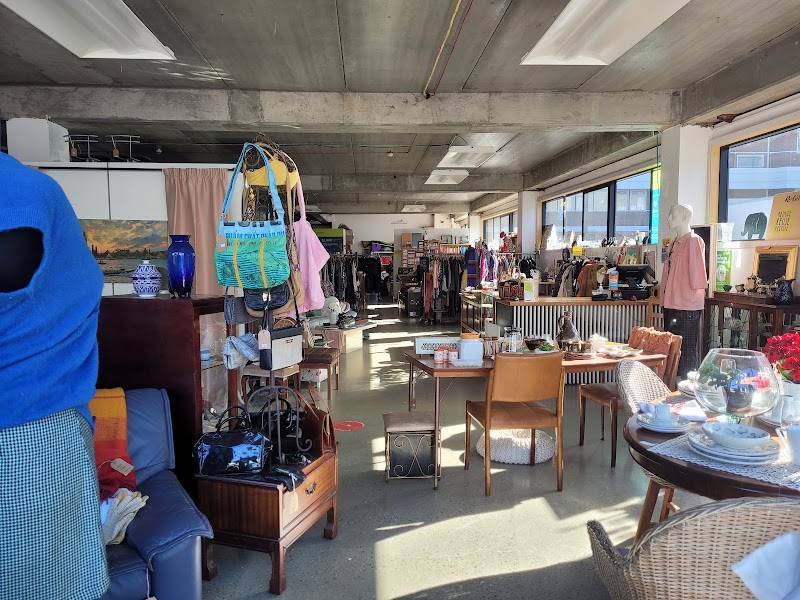 Check out Mary Potter Hospice Shop – Cuba Street in Te Aro