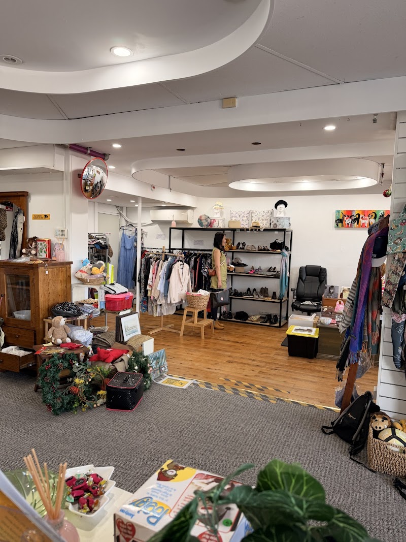 Check out BMD – Blue Mountains & Districts Cat Welfare Group Inc. Op Shop Katoomba in Katoomba