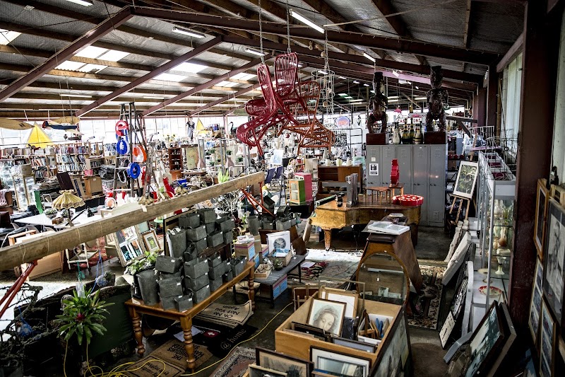 Check out Junk & Disorderly in Mt Eden